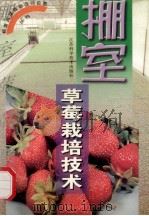 棚室草莓栽培技术   1999  PDF电子版封面  7534526337  马鸿翔编著 