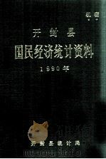 开封县国民经济统计资料  1990年（1991 PDF版）
