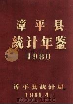 漳平县统计年鉴  1980   1981  PDF电子版封面    漳平县统计局编 