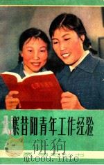 大寨昔阳青年工作经验   1978  PDF电子版封面  3088·183  共青团山西省委员会编 