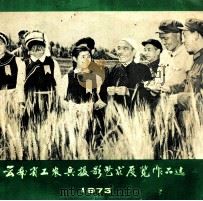 云南省工农兵摄影艺术展览作品选  1973     PDF电子版封面     