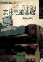 实用电脑基础   1996  PDF电子版封面  7543812681  李晓辉编著 