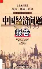 中国经济问题报告  上   1998  PDF电子版封面  7801275128  李江，颜波主编 