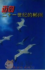 迈向二十一世纪的郴州   1997  PDF电子版封面  7505101404  罗海运主编；罗相朝，张成城，卢少林副主编 