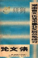 湖南省文化艺术事业发展战略研讨论文集（1987 PDF版）
