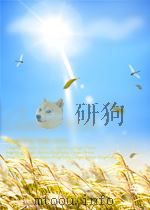 村上春树小说艺术研究     PDF电子版封面     