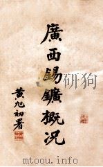 广西锡矿概况   1935  PDF电子版封面    广西省政府矿务局编 