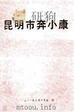 昆明市奔小康     PDF电子版封面    中共昆明市委政策研究室编 
