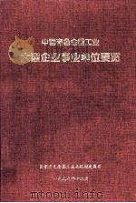 中国有色金属工业大型企业事业单位要览   1999  PDF电子版封面    潘家注 