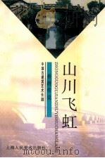 山川飞虹  桥的传说   1998  PDF电子版封面  753222001X  王剑平著 