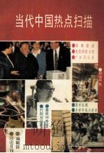 当代中国热点扫描   1993  PDF电子版封面  1004.0544  王庆新主编；傅大彩副主编 