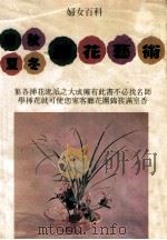 春夏秋冬插花艺术   1982  PDF电子版封面    筒井紫云编著 