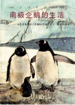 南极企鹅的生活   1997  PDF电子版封面  7107123408  人民教育出版社小学语文室等编 