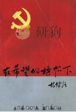 在希望的旗帜下   1997.02  PDF电子版封面    陈觉民主编 