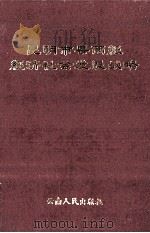 昆明市县两级经济社会发展战略（1989 PDF版）
