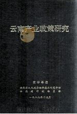 云南产业政策研究   1990  PDF电子版封面    云南省人民政府经济技术研究中心，云南省计划委员会编 