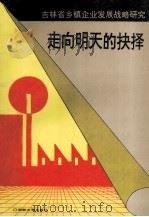走向明天的抉择  吉林省乡镇企业发展战略研究   1992  PDF电子版封面    杜志主编 