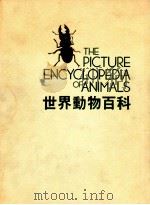 世界动物百科  图集  无脊椎动物   1984  PDF电子版封面     