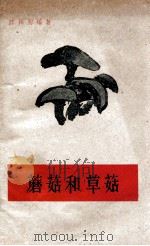 蘑菇和草菇   1960  PDF电子版封面  16119·80  陈梅朋编著 