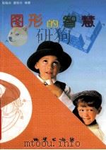 图形的智慧  图集   1997  PDF电子版封面  7116022929  张梅玲，唐世兴编著 