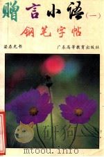 赠言小语钢笔字帖  1   1994  PDF电子版封面    梁鼎光书 