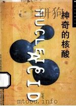 神奇的核酸  生命的原动力   1999  PDF电子版封面    于泽生 