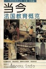 当今法国教育概览   1994  PDF电子版封面  7534714524  梁晓华著；郑德鑫主编 