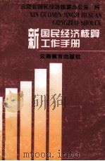新国民经济核算工作手册   1996  PDF电子版封面  7541512281  云南省国民经济核算办公室编 