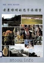 前景灿烂的思茅旅游业   1998  PDF电子版封面  7541610372  管宁生，龚丕富等编著 