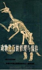 动物化石的修理与保存   1979  PDF电子版封面    （英）A.E.里克森著；史庆礼，吴文裕，董枝明，邱占祥译 