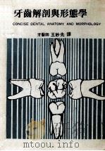牙齿解剖与形态学   1983  PDF电子版封面    王妙先译 