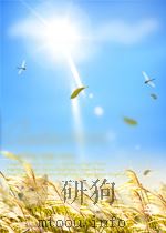 国朝宫史续编   1994  PDF电子版封面    （清）庆桂等编纂 