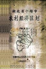 湖北省十堰市农村经济区划   1996  PDF电子版封面     