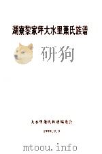 湖寮黎家坪大水里萧氏族谱（1999 PDF版）