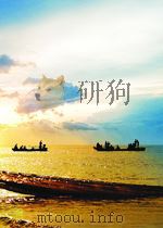邓小平文革岁月  英文版     PDF电子版封面     