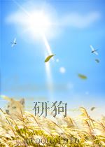 台湾的高新技术与现代化   1997  PDF电子版封面    王荣年 