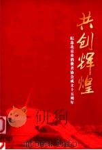 共创辉煌  纪念北京市消费者协会成立十五周年     PDF电子版封面     
