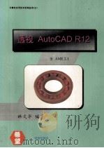 透视AutoCAD R12.0  含AME 2.1   1994  PDF电子版封面  7507707776  林文华编著 