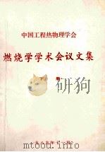 中国工程热物理学会  燃烧学学术会议论文集  下   1989  PDF电子版封面     