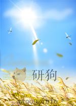 北大荒文学作品选  中   1987  PDF电子版封面    《北大荒文学作品选》编委会编 