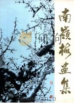 南岭梅画集   1996  PDF电子版封面  9628182030  王春华著 