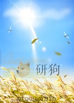 海外名家经典  第一辑  龙须糖与热蔗     PDF电子版封面     