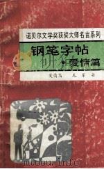 钢笔字帖  爱情篇   1993  PDF电子版封面  7810043331  毛军书 