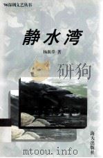 静水湾   1996  PDF电子版封面  7806152741  杨新乔著 