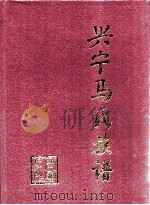 兴宁马氏族谱   1994  PDF电子版封面    兴宁市马氏族谱编纂委员会编 