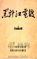 黑龙江电镀  第1集（1977 PDF版）