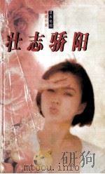 壮志骄阳   1997  PDF电子版封面  7538719684  （日）野岛伸司著；萧照芳译 