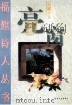 亮窗   1998  PDF电子版封面  7806401466  商家云著 