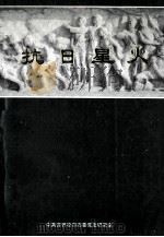 抗日星火   1991  PDF电子版封面    中共齐齐哈尔市委党史研究室编 