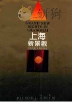 上海新景观   1996  PDF电子版封面  7532216063  李春涛主编 